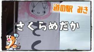 さくらめだかのアイキャッチ