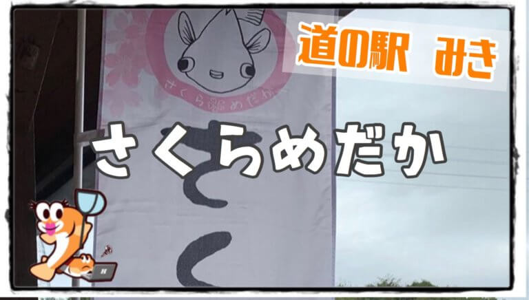 さくらめだか 兵庫県の道の駅みき内のメダカ販売店 ひろなび メダカ販売店のまとめサイト