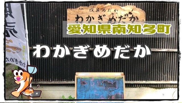 愛知県のメダカ販売店のアイキャッチ