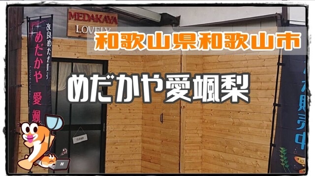 和歌山県のメダカ販売店のアイキャッチ