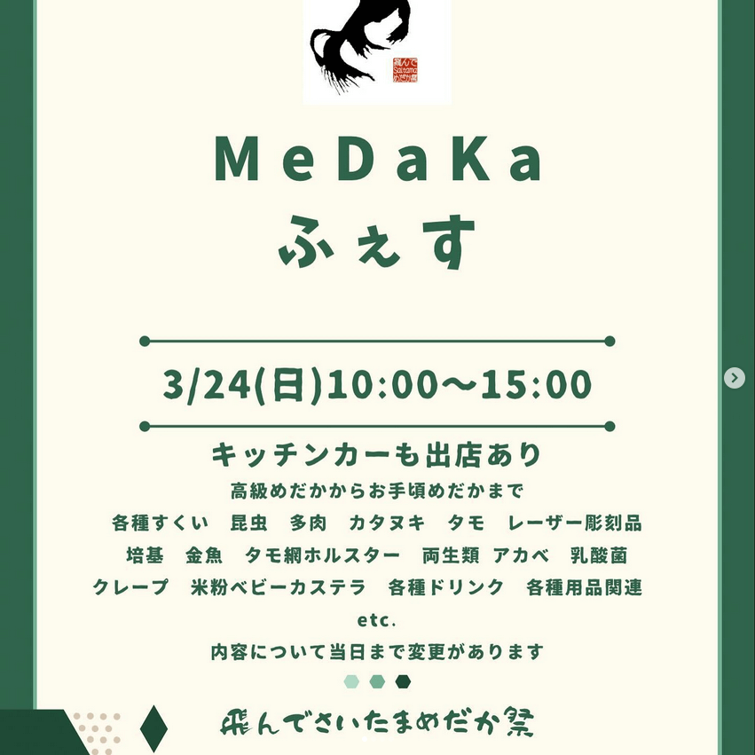 メダカ販売イベントのチラシ(2024年3月開催)