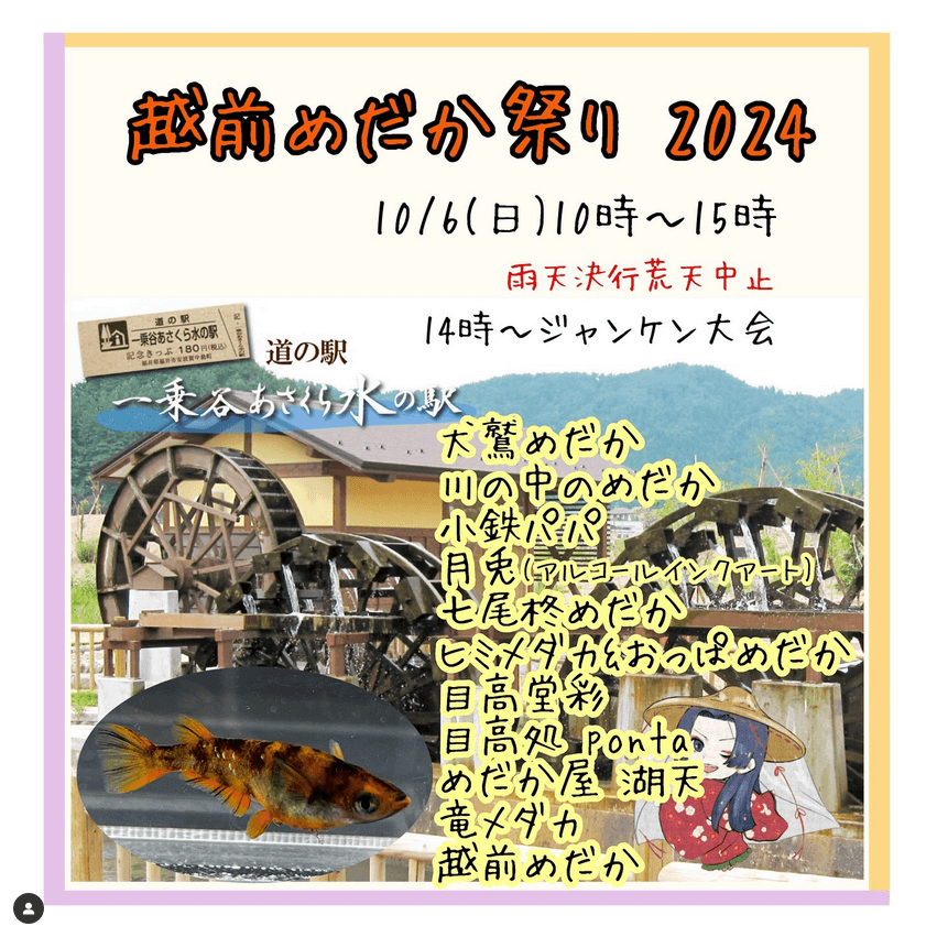 メダカ販売イベントのチラシ(2024年10月開催)