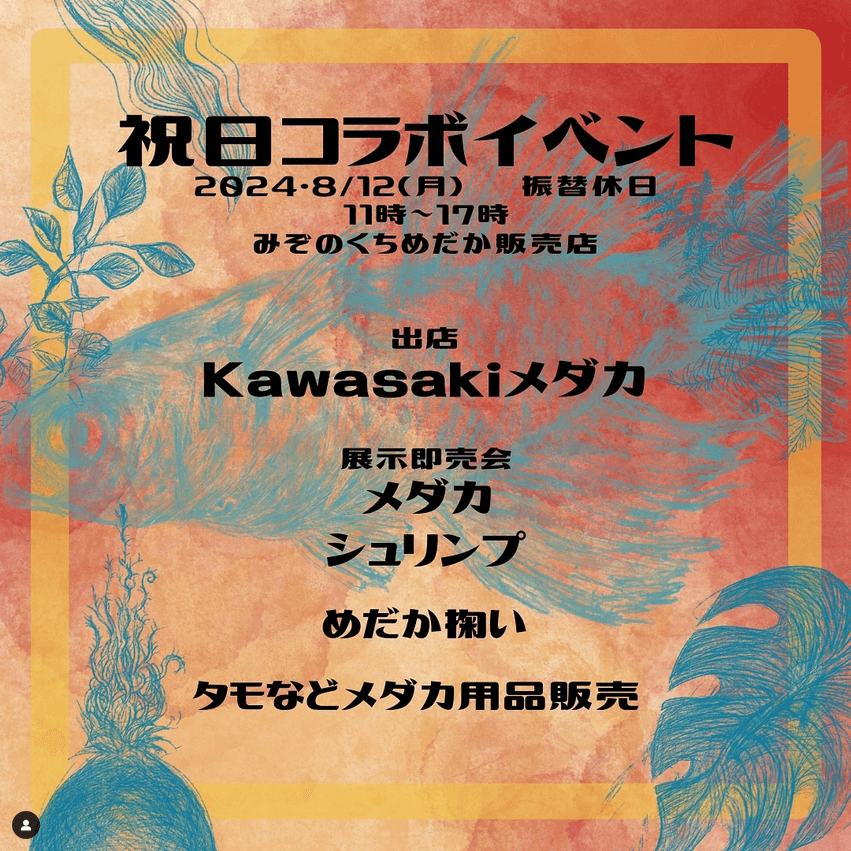 メダカ販売イベントのチラシ(2024年8月開催)