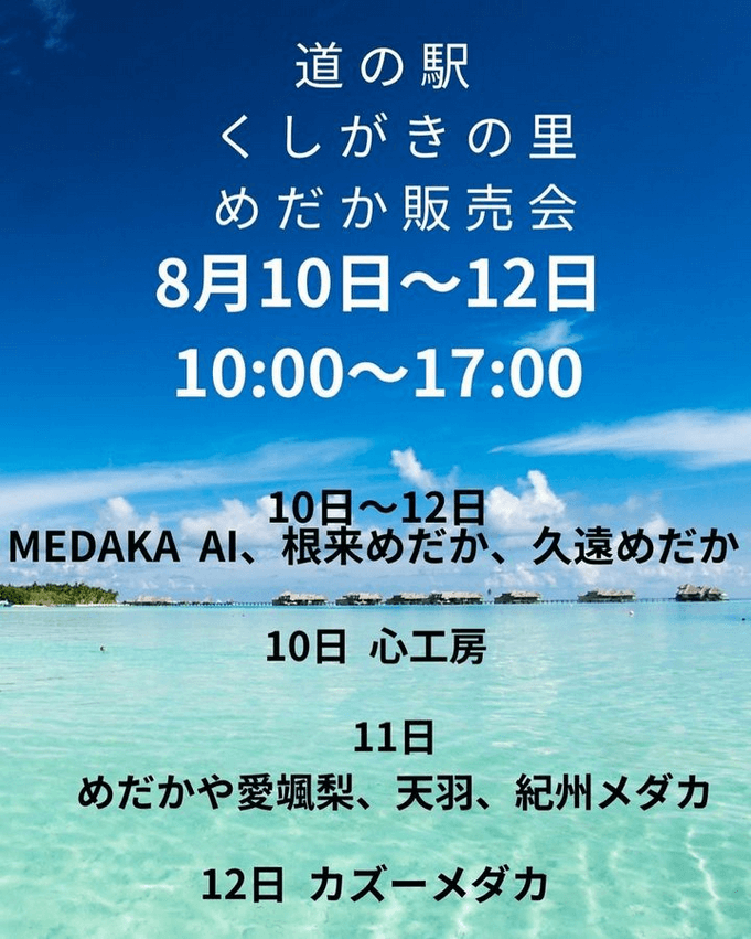 メダカ販売イベントのチラシ(2024年8月開催)