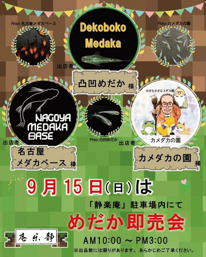 メダカ販売イベントのチラシ(2024年9月開催)