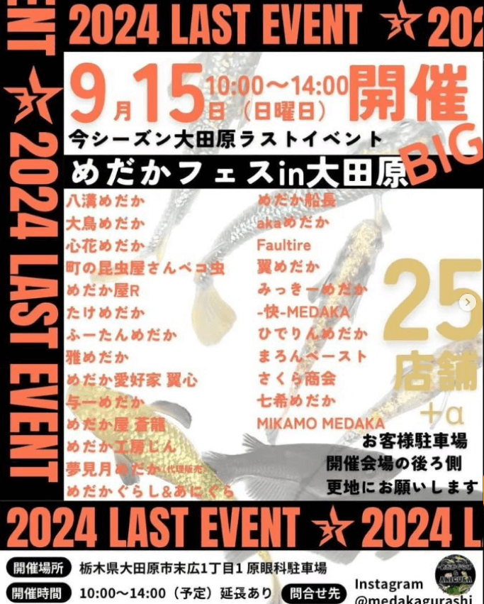 メダカ販売イベントのチラシ(2024年9月開催)