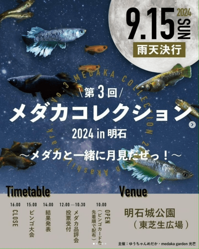 メダカ販売イベントのチラシ(2024年9月開催)