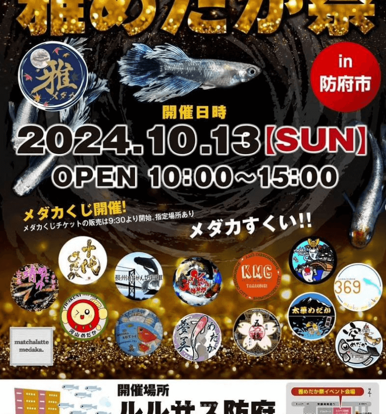 メダカ販売イベントのチラシ(2024年10月開催)