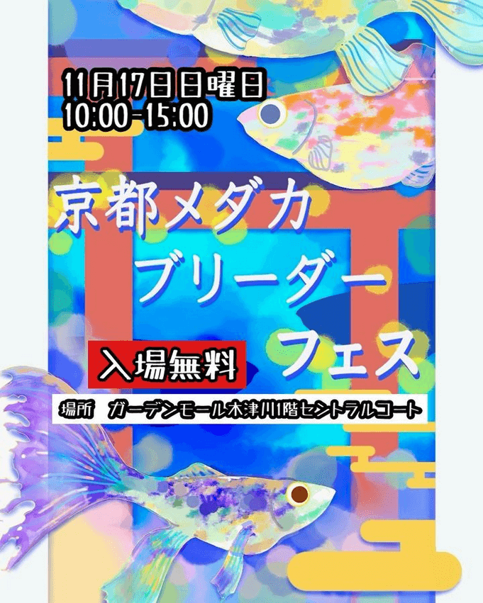 メダカ販売イベントのチラシ(2024年11月開催)