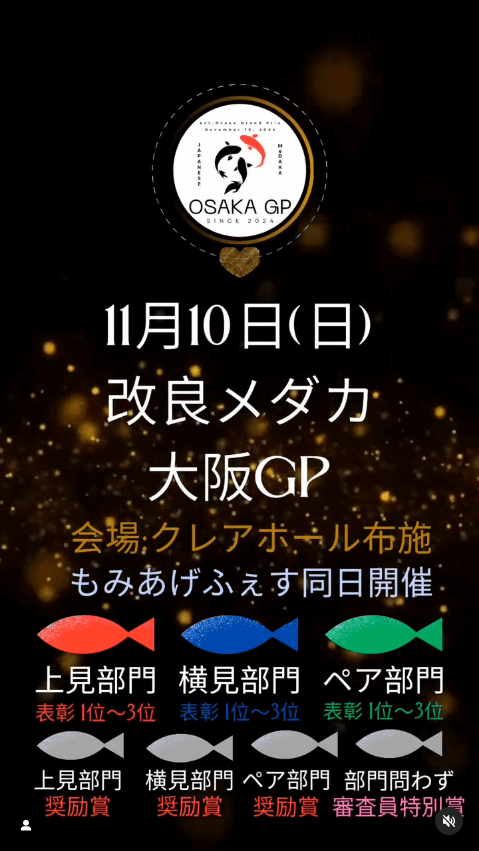 メダカ販売イベントのチラシ(2024年11月開催)