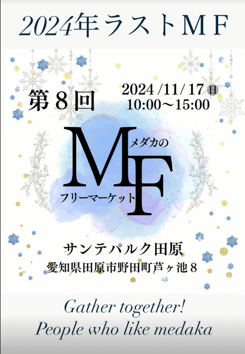 メダカ販売イベントのチラシ(2024年11月開催)