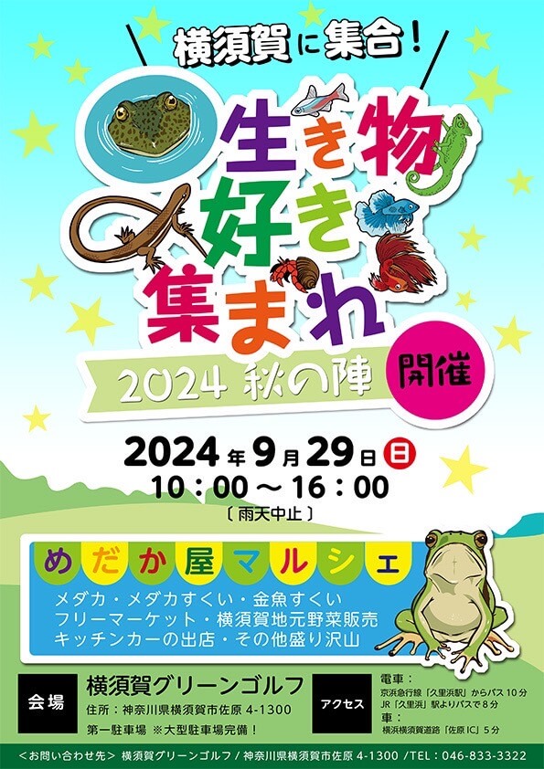 メダカ販売イベントのチラシ(2024年9月開催)