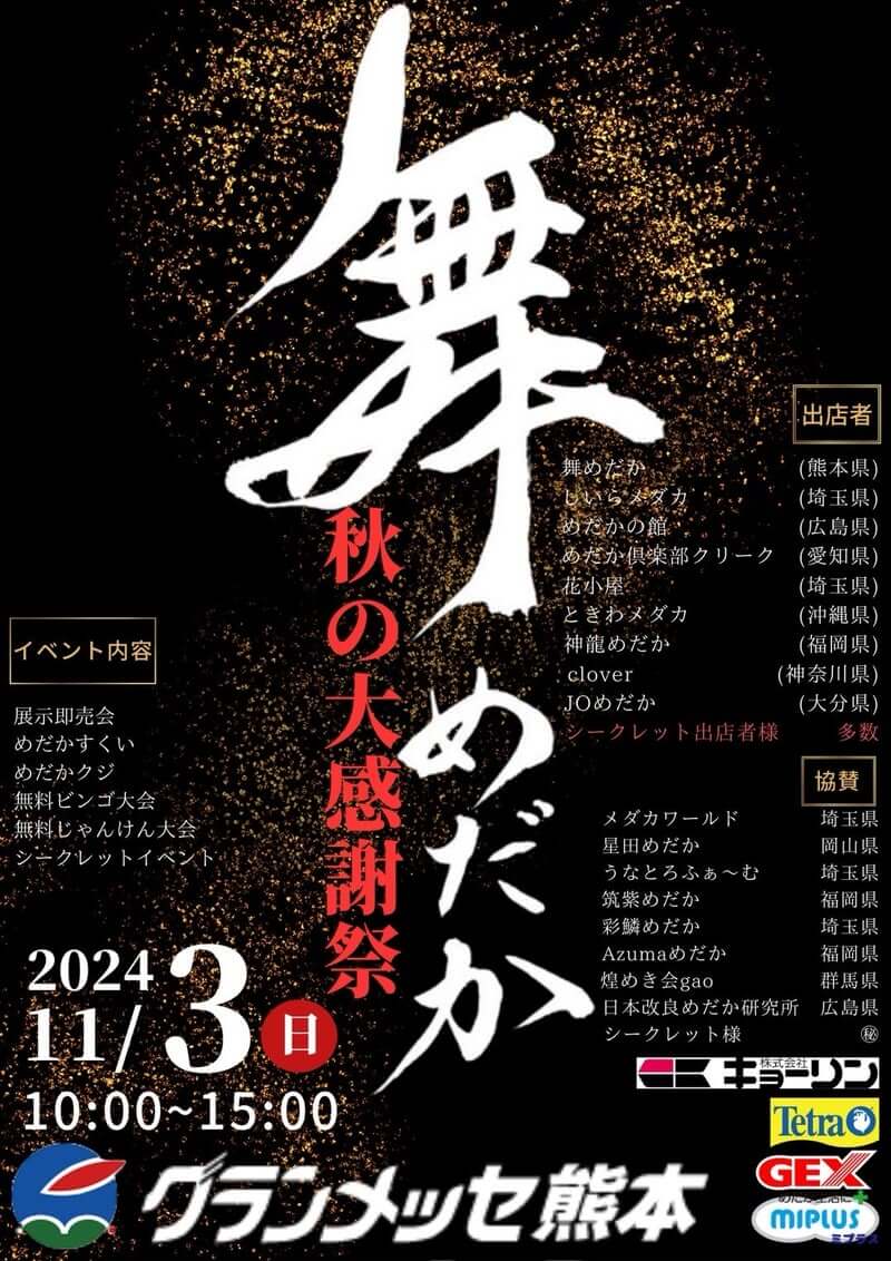 メダカ販売イベントのチラシ(2024年11月開催)