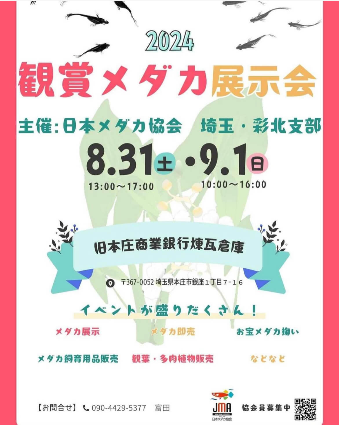 メダカ販売イベントのチラシ(2024年8月開催)