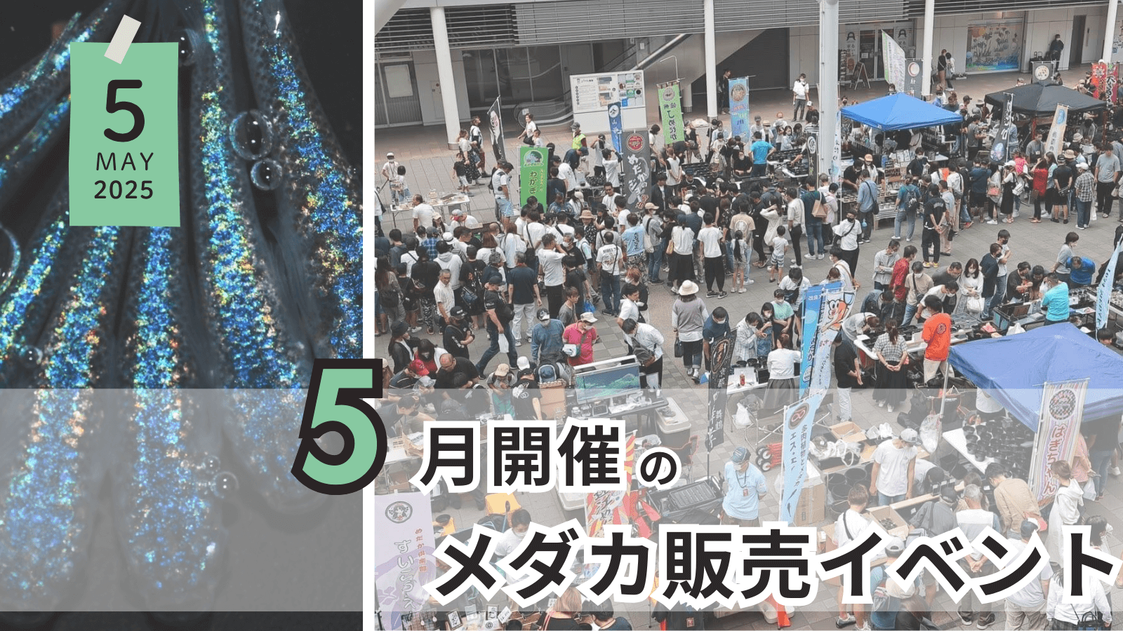 2025年5月に開催のメダカ販売イベントのアイキャッチ