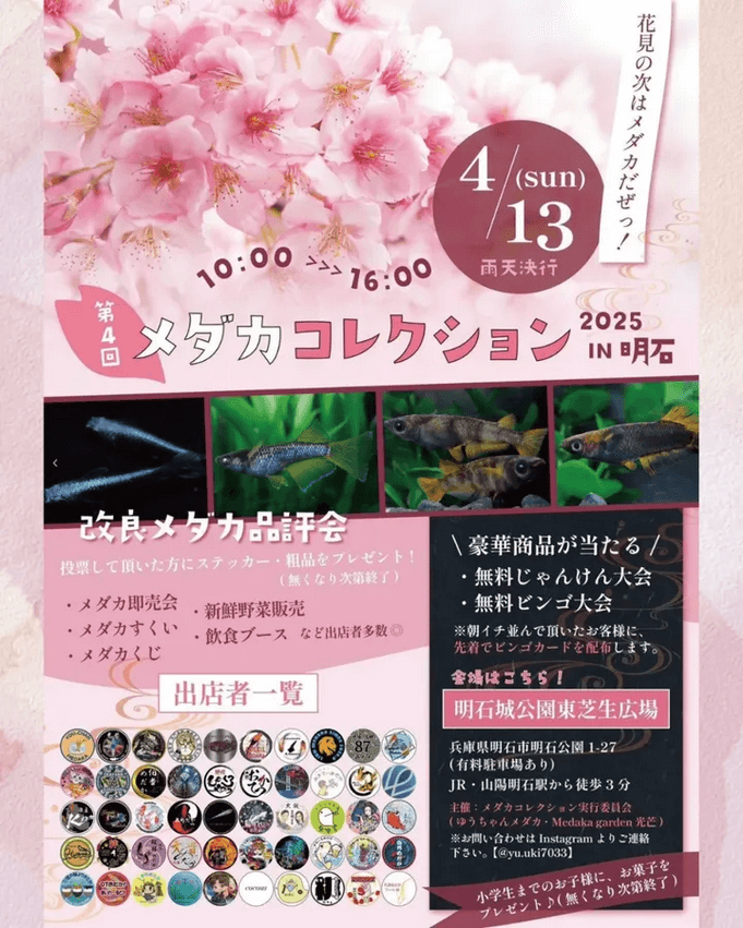 メダカ販売イベントのフライヤー広告(2025年4月開催)