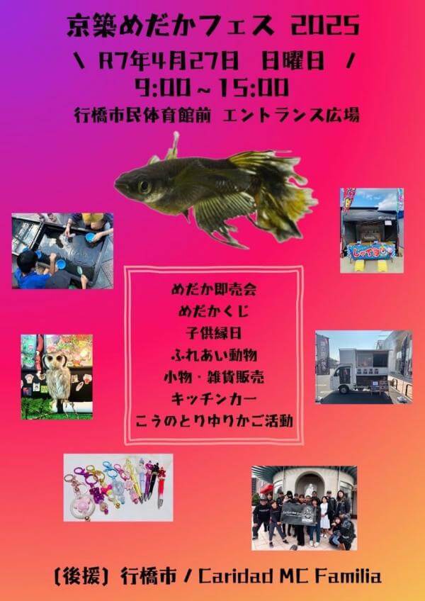 メダカ販売イベントのフライヤー広告(2025年4月開催)