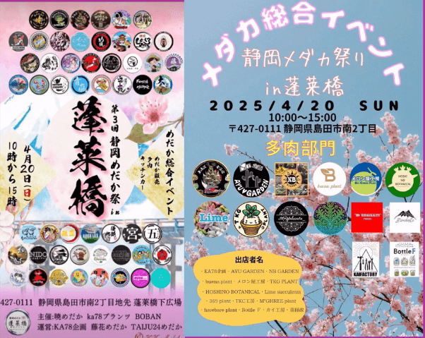 メダカ販売イベントのフライヤー広告(2025年4月開催)