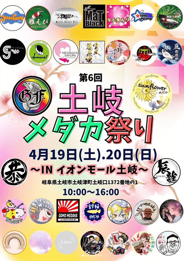 メダカ販売イベントのフライヤー広告(2025年4月開催)