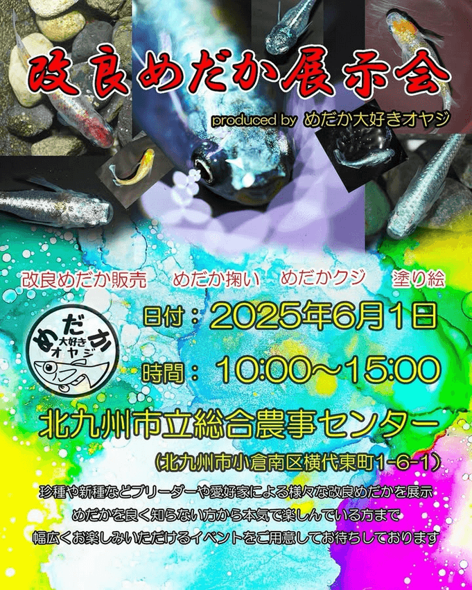 メダカ販売イベントのフライヤー広告(2025年6月開催)
