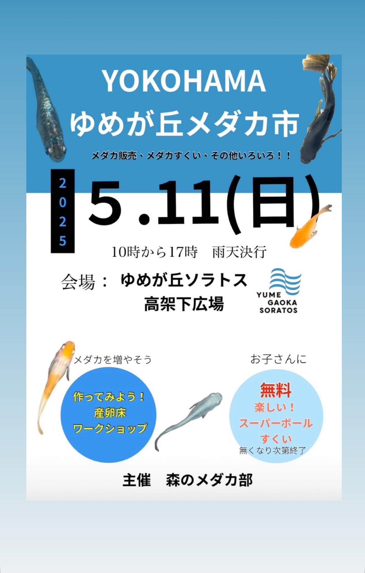 メダカ販売イベントのフライヤー広告(2025年5月開催)