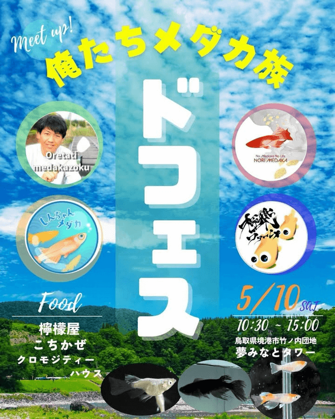 メダカ販売イベントのフライヤー広告(2025年5月開催)