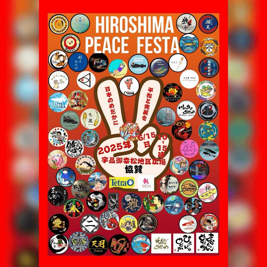 メダカ販売イベントのフライヤー広告(2025年6月開催)