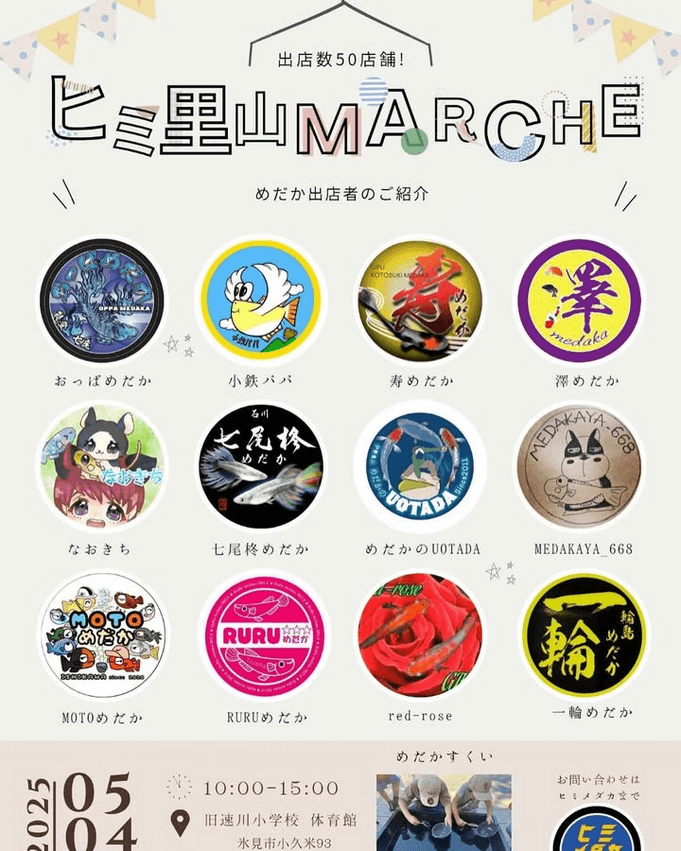 メダカ販売イベントのフライヤー広告(2025年5月開催)