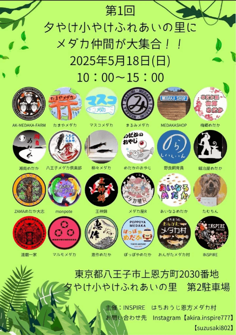 メダカ販売イベントのフライヤー広告(2025年5月開催)