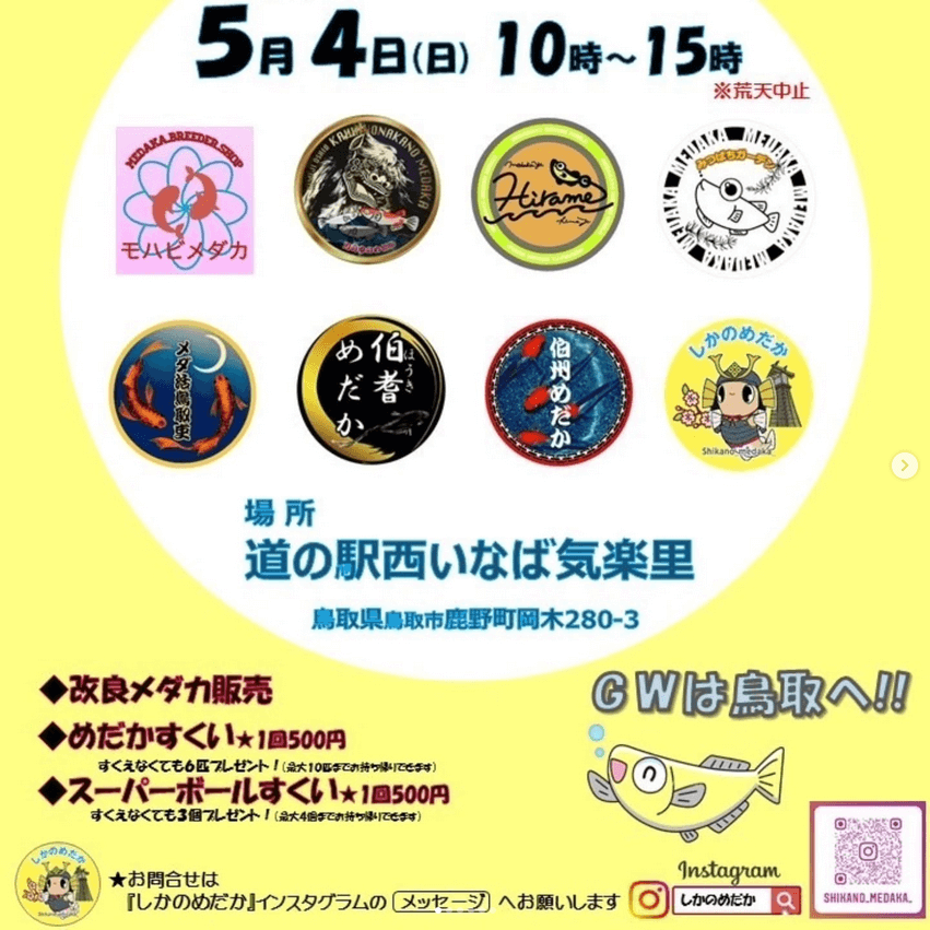 メダカ販売イベントのフライヤー広告(2025年5月開催)