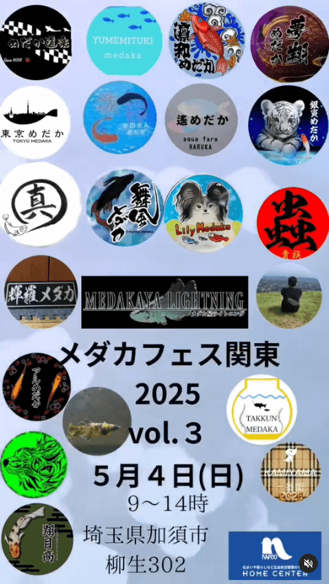 メダカ販売イベントのフライヤー広告(2025年5月開催)