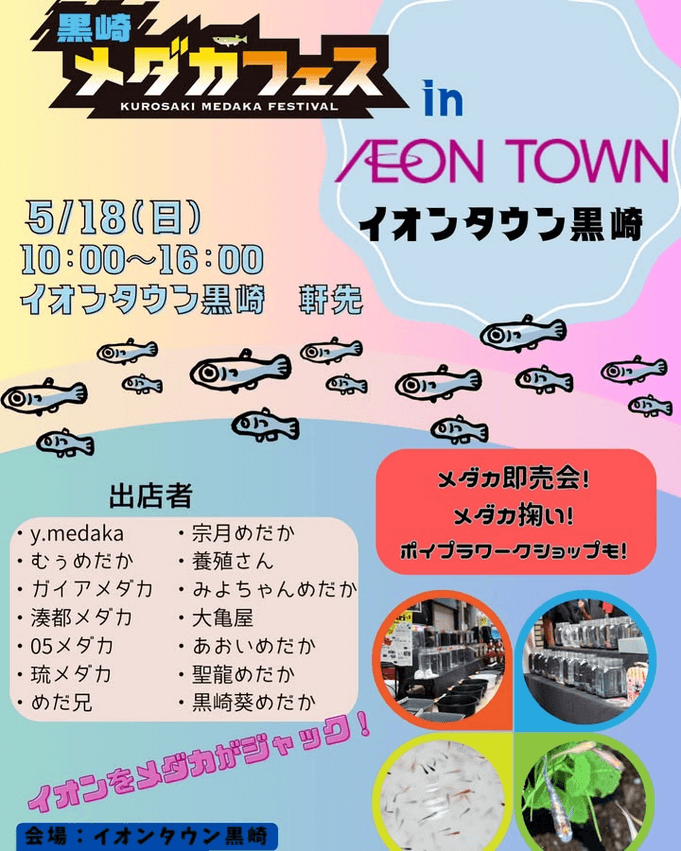 メダカ販売イベントのフライヤー広告(2025年5月開催)