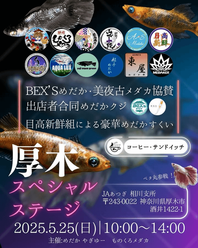 メダカ販売イベントのフライヤー広告(2025年5月開催)