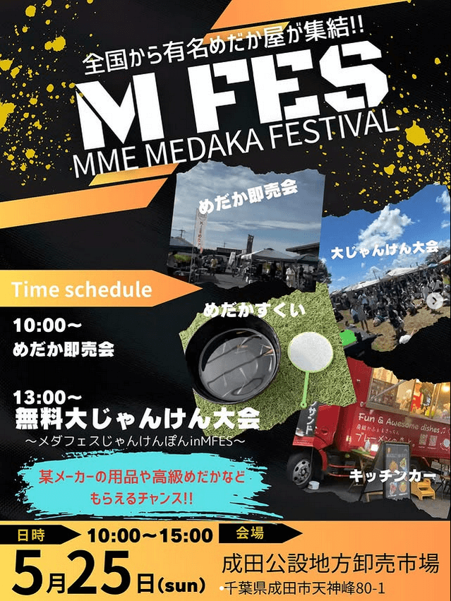 メダカ販売イベントのフライヤー広告(2025年5月開催)