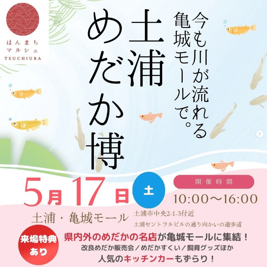 メダカ販売イベントのフライヤー広告(2025年5月開催)