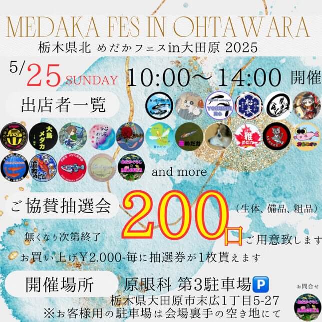 メダカ販売イベントのフライヤー広告(2025年5月開催)