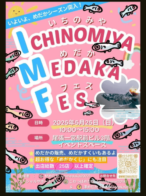 メダカ販売イベントのフライヤー広告(2025年5月開催)