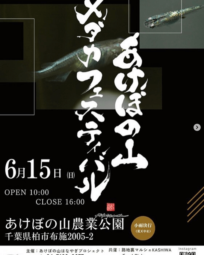 メダカ販売イベントのフライヤー広告(2025年6月開催)