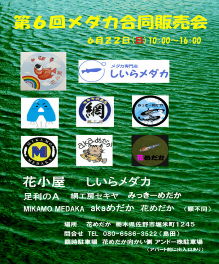 メダカ販売イベントのフライヤー広告(2025年6月開催)