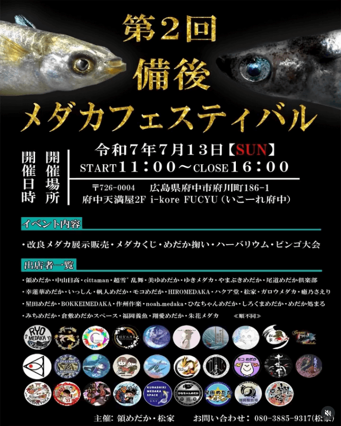 メダカ販売イベントのフライヤー広告(2025年7月開催)