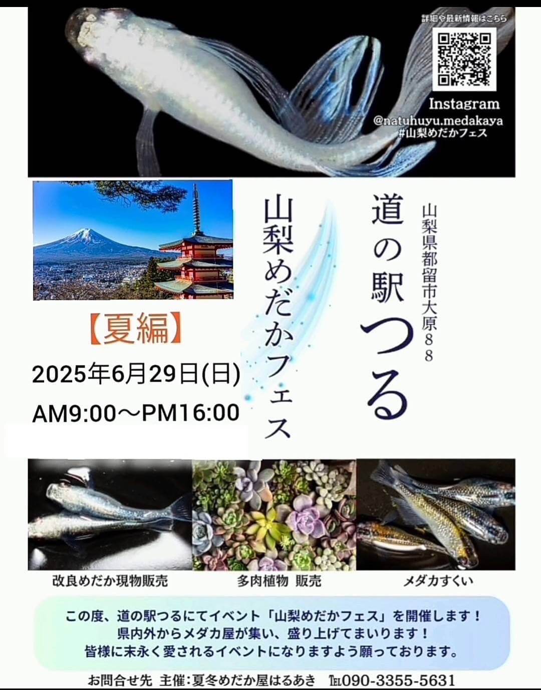 メダカ販売イベントのフライヤー広告(2025年6月開催)