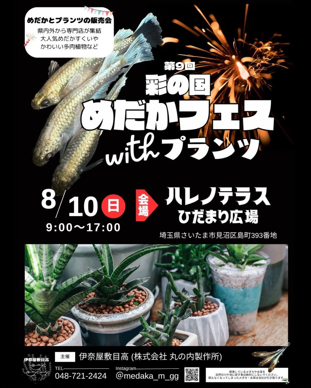 メダカ販売イベントのフライヤー広告(2025年8月開催)