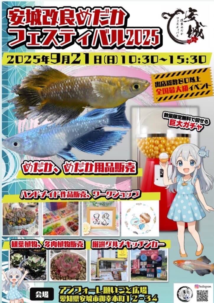 メダカ販売イベントのフライヤー広告(2025年9月開催)