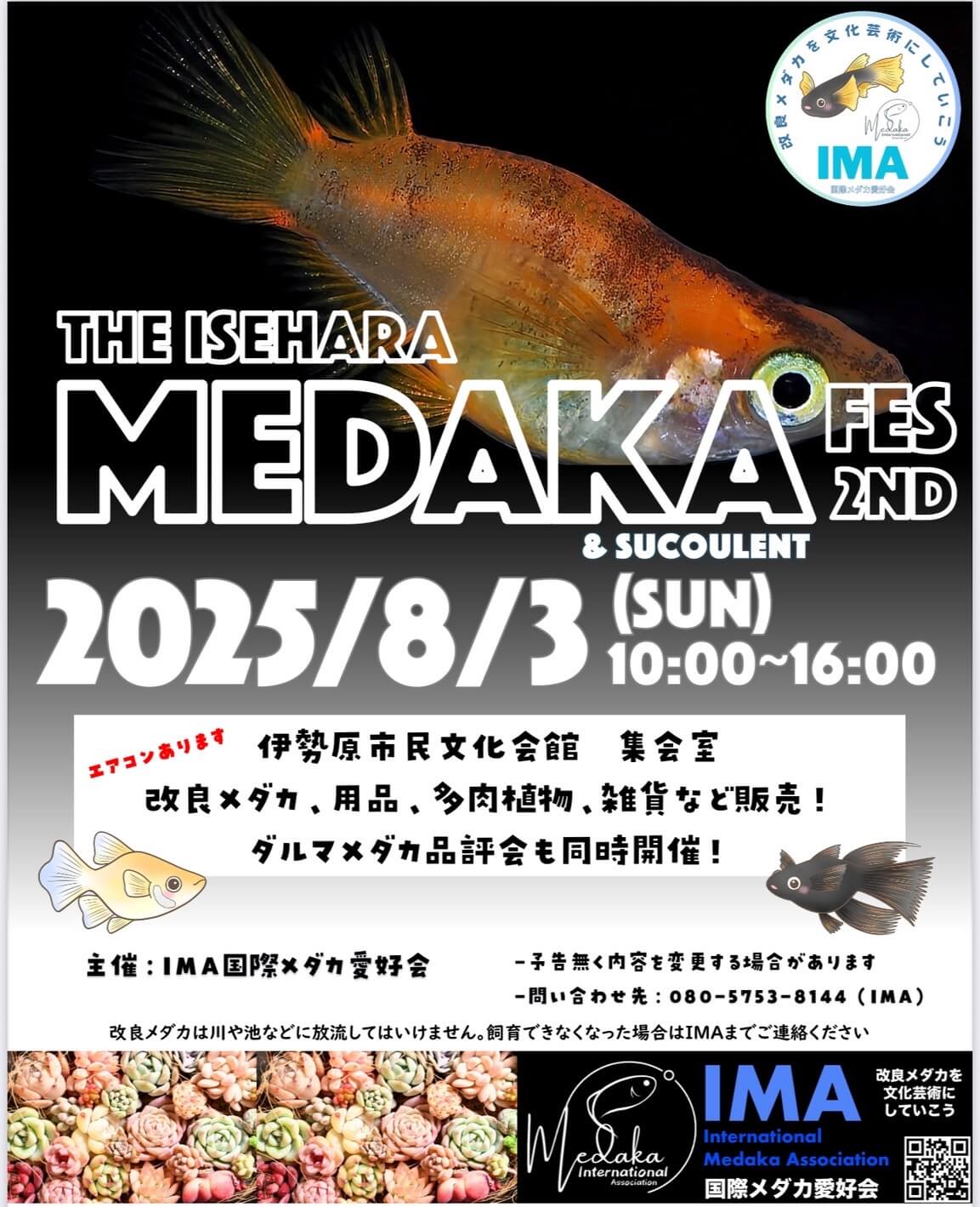 メダカ販売イベントのフライヤー広告(2025年8月開催)