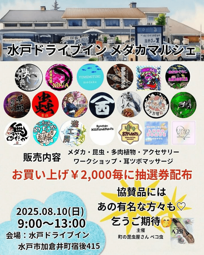 メダカ販売イベントのフライヤー広告(2025年8月開催)