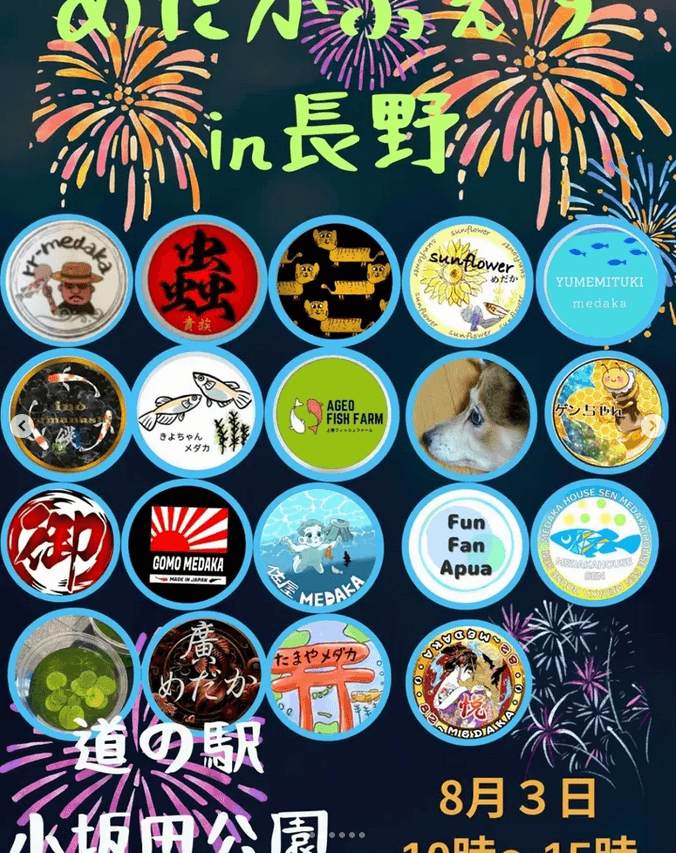 メダカ販売イベントのフライヤー広告(2025年8月開催)