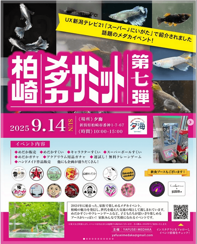 メダカ販売イベントのフライヤー広告(2025年9月開催)