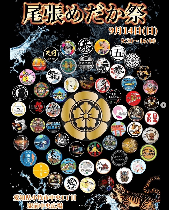 メダカ販売イベントのフライヤー広告(2025年9月開催)