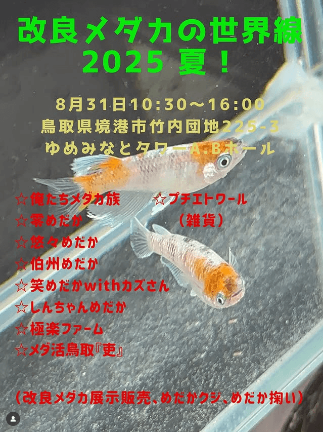 メダカ販売イベントのフライヤー広告(2025年9月開催)