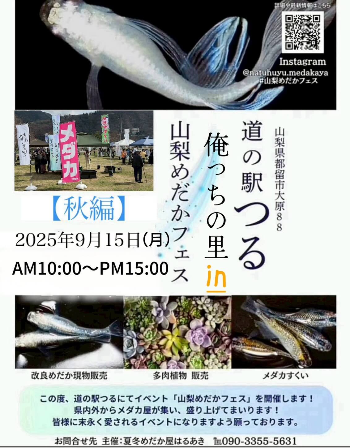 メダカ販売イベントのフライヤー広告(2025年9月開催)